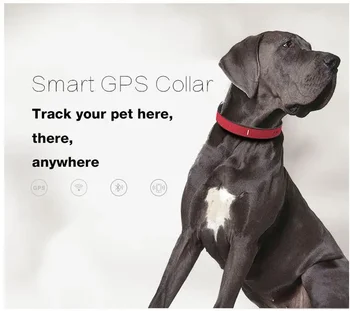   Мини GPS трекер домашних животных в реальном времени для собак / кошек / животных, Собака Домашние животные GPS Трекер Кошка Самый маленький GPS Отслеживание домашних животных