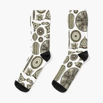  Ernst Haeckel Диатомовые водоросли Винтажные коричневые носки на заказ носки Кроссфит носки компрессионные носки Женские мужские носки Женские