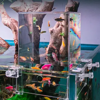  Экологический аквариум Рыбная башня Прозрачный аквариум Вакуумная башня для аквариумов Расширенное украшение зоны купания с помощью застежек над водой
